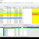 Primavera P6 Web (EPPM) – Perpetual