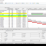 Primavera P6 Web (EPPM) – Perpetual