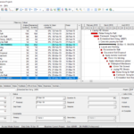 Primavera P6 Web (EPPM) – Perpetual
